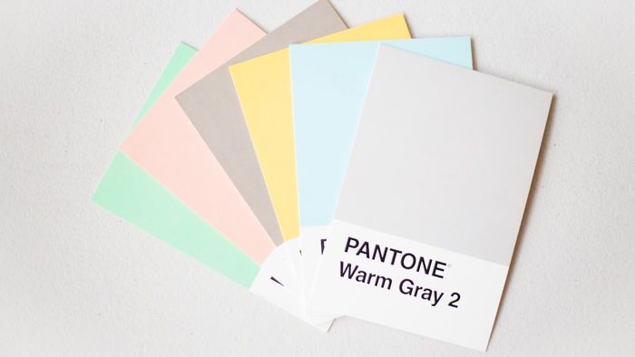 A fanned set of Pantone color swatches, the kind of reference a licensor's style guide locks down